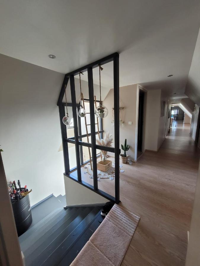 Loft Spacieux Et Lumineux Oloron-Sainte-Marie Kültér fotó